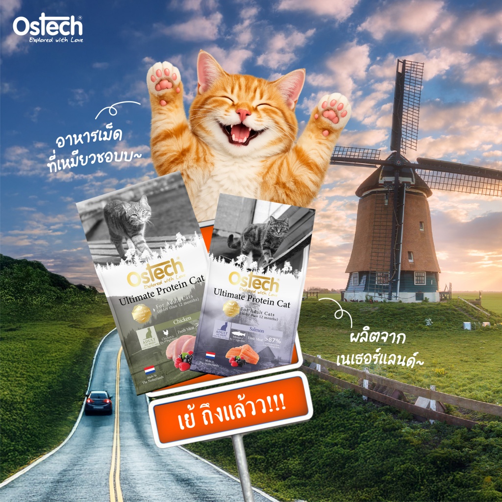 Ostech ถนนsuperfood_1- 11.jpg